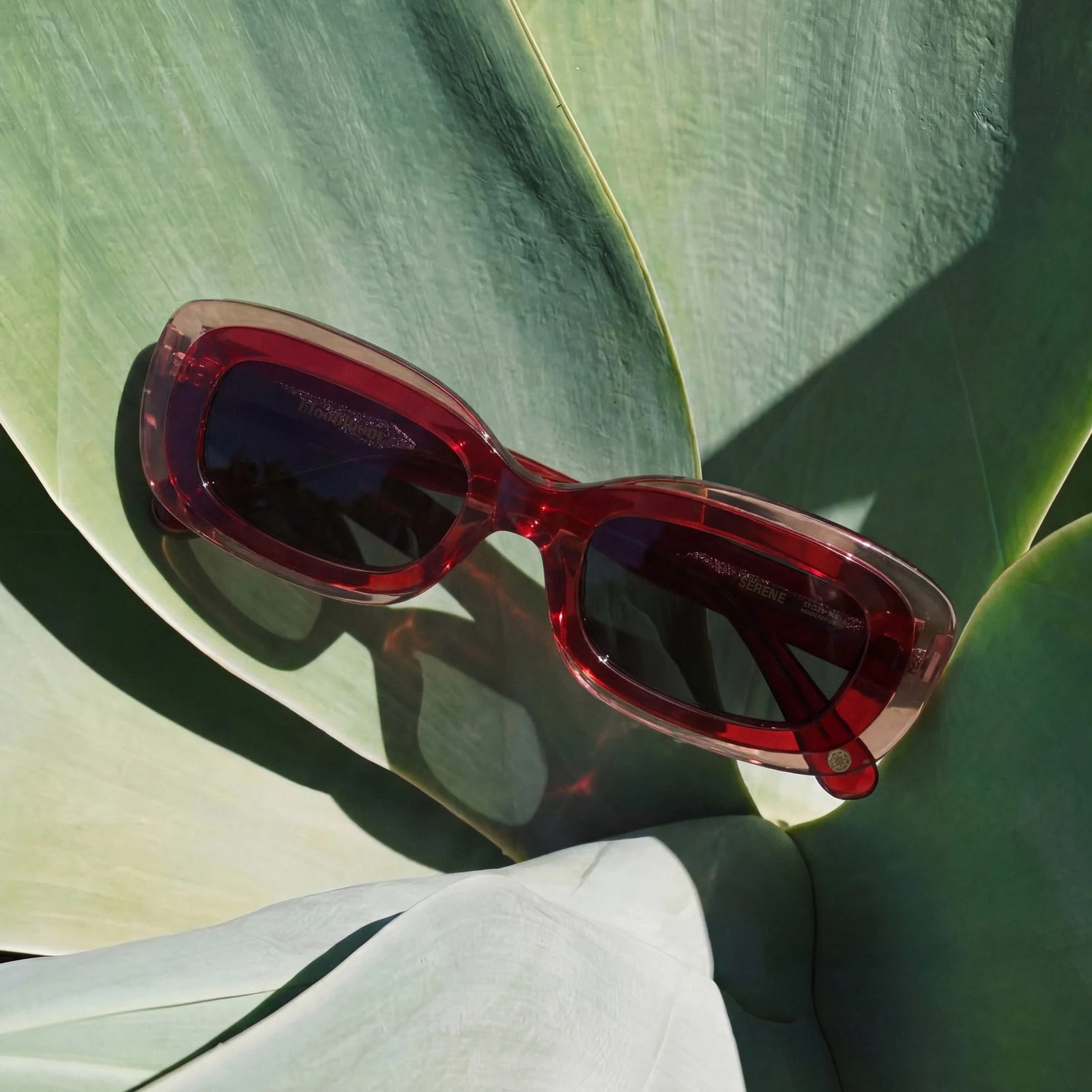Crimson Serene frames in sunlight among green leaves
